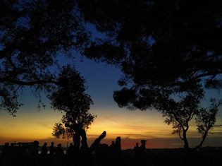 thumbnail_2022-11-12-084955095.jpg